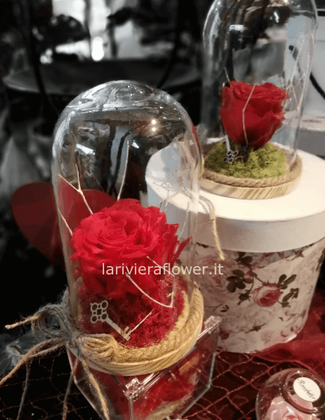 Rosa stabilizzata in campana di vetro