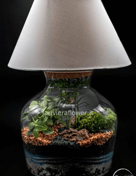 terrario con lampada